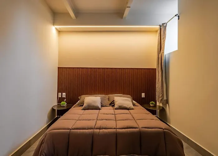 Cozy With Rooftop In Roma Norte